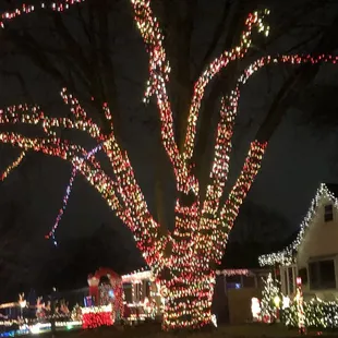 My favourite display