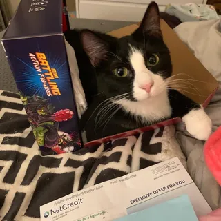 Kandi K.