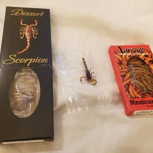 Scorpions and larvets