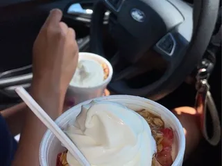 Counter Culture Frozen Yogurt