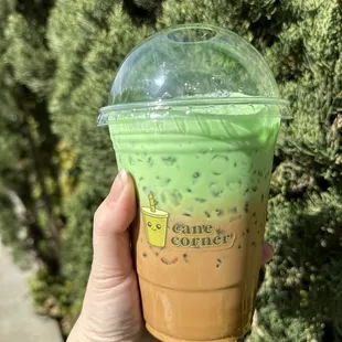 Pandan Coffee: Smooth, rich glavor with a just enough pandan flavor. This would be amazing if they offered an egg pandan coffee!