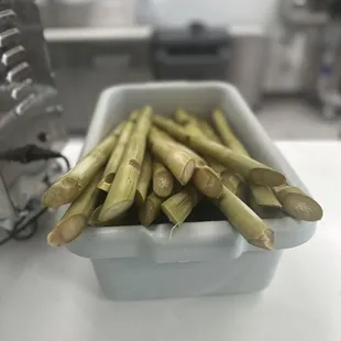 Sugar Cane