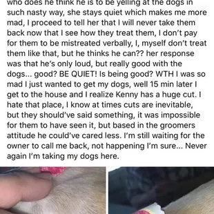 Injured and mistreated pups