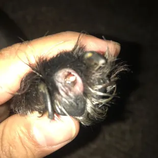 Day four still no call, no care from this business.