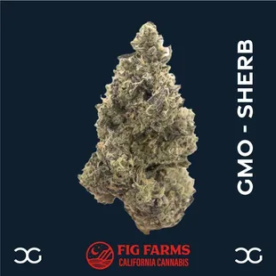 GMO - SHERB grown by Fig Farms Cultivation.