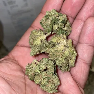 PEX - pineapple express  Got 4 strains for $125 Deal.