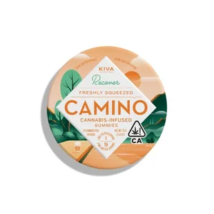 A physical road takes you to a physical place. Camino (&quot;road&quot; in Spanish) takes you to a state of mind.