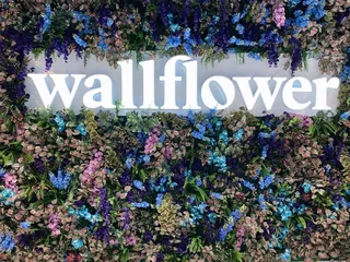 Wallflower Cannabis House Weed Dispensary Las Vegas