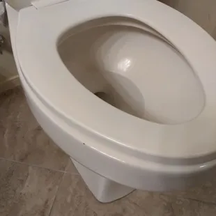 Might not be visible but ants on toilet