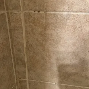 Moldy/stained grout.