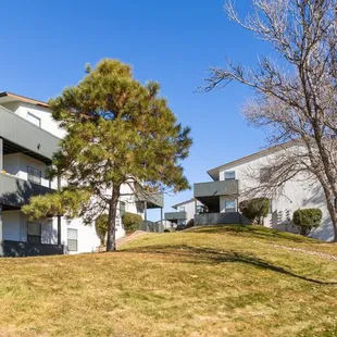 Exterior of the Property