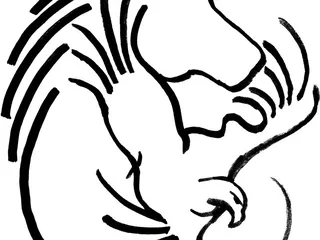 White Eagle Adventures