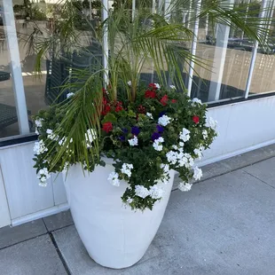 Front right side entrance Aqua Pots! You want Aqua Pots in you life!