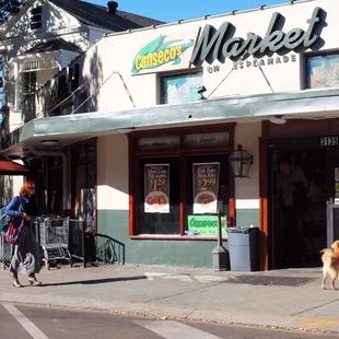 a woman walking her dog