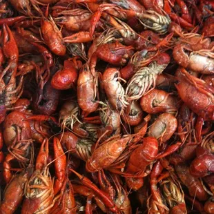Hot boiled crawfish $3.89/lb