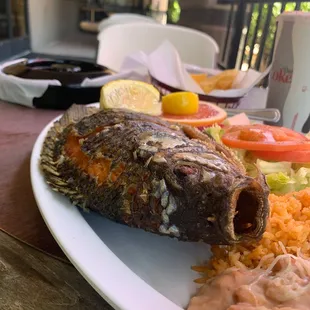 Fried Talapia