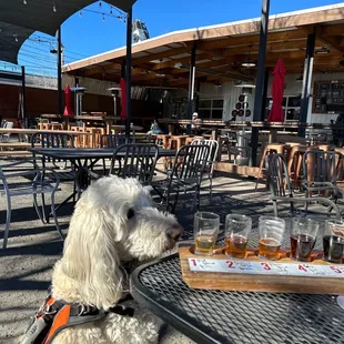 Outdoor patio with Ernie