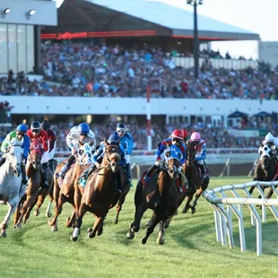 Horse racing at Canterbury Park.