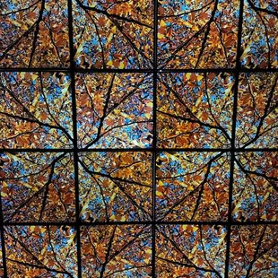 Inside, cool ceiling pattern