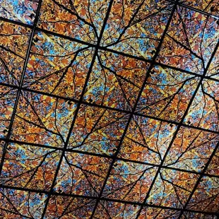 Inside, cool ceiling patterns