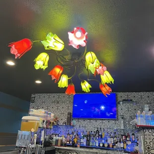 Unique light fixture