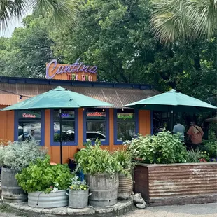 salads, outside
