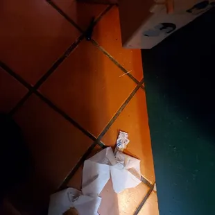 toilet paper on the floor