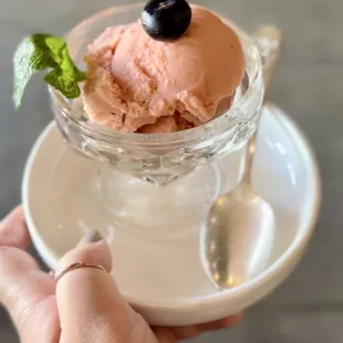 Mamey ice cream