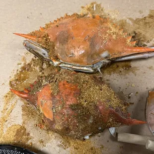 Two More Super Humpback