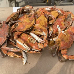 Crabs ...good times!