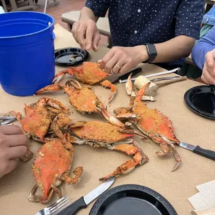 Dozen Crabs