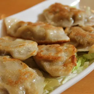 Pan Fried Pork Dumplings