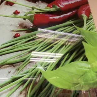 sushi, sashimi, food, sushi and sashimi