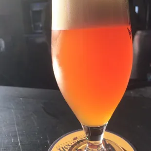 Special Tapping of Dogfish Head 120 Minute IPA