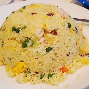 Sunday, April 16th, 2023 - Yang Chow Fried Rice