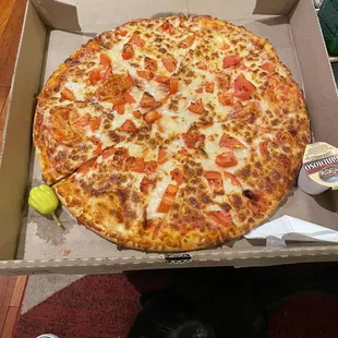 Good pizza but incredibly slow delivery