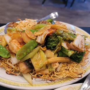 Hong Kong Style Chow Mein.   Pan fried noodles.   Hardly any resemblance to the authentic Pan Fried Noodles.