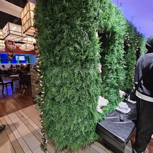 Grass wall