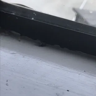 a close up of a window sill