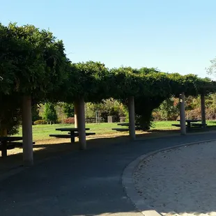 Shaded picnic area with BBQ'S