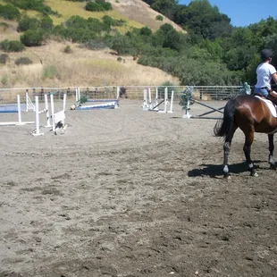 Huge outdoor arena