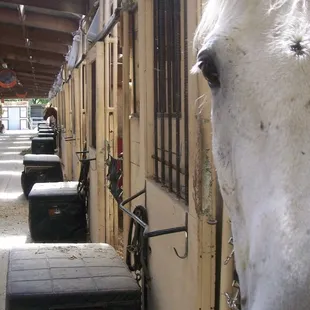 Our barn