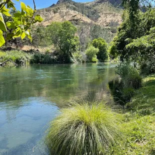 Putah Creek