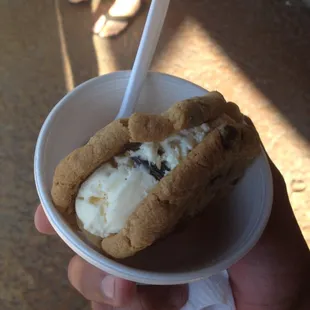 Ice cream cookie sandwich