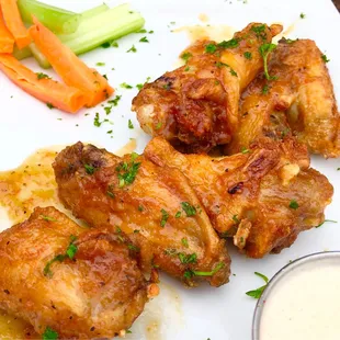 Wings of the world (already finished half plate)