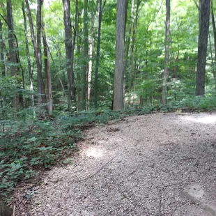 Trail 7 look out shelter