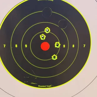 Working on siting in the .338 Savage Arms and Steiner Scope at 100 Yards. (A bit of a joke for this rifle)