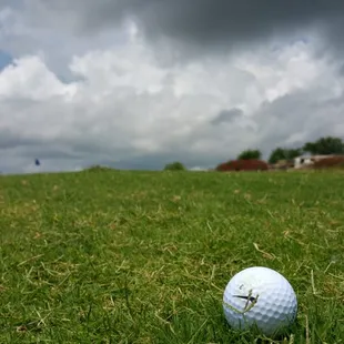 The ball's perspective.