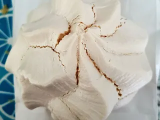 Santa Ana's Colombian Bakery & Sandwich Shop