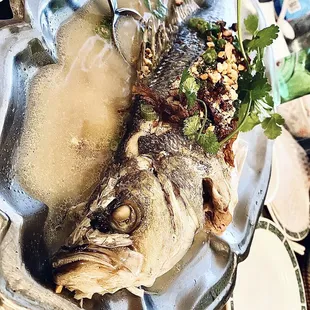 Steamed sea bass (w/ rice paper &amp; veggies - not pictured)